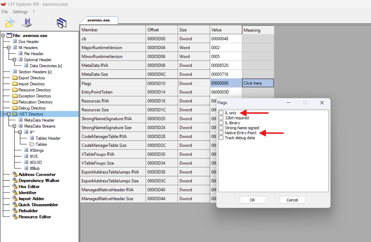 cff explorer output